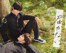 seo优化方法哪个平台好优化